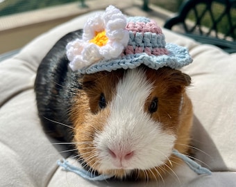 Crochet Panama Hats for Guinea Pigs, Bunnies, Gerbils, Hamsters, Chinchillas, and Other Small Pets / Small Handmade Accessories for Pets