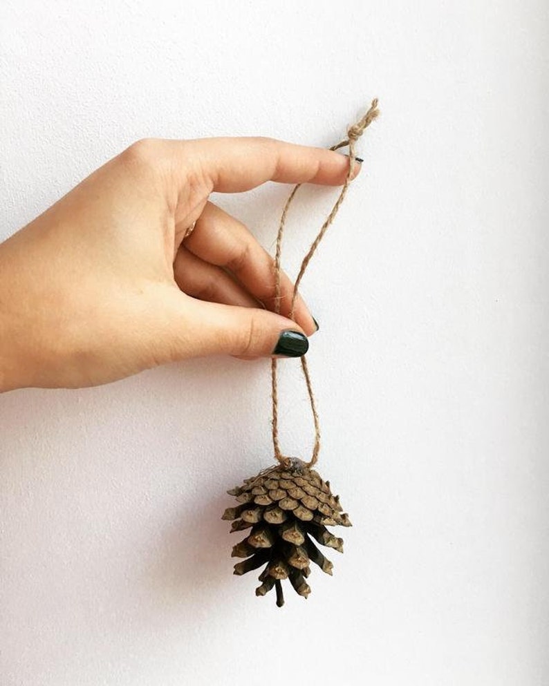 Natural Pine Cones With Jute String Pine Cone Decor Woodland Etsy