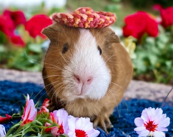 Crochet sombreros for Guinea Pigs 2 pcs, Bunnies, Gerbils, Hamsters, Chinchillas, and Other Small Pets / Small Handmade Accessories for Pets