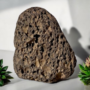 Op de afbeelding: Een grote, donkerbruine, poreuze steen met een ruw, onregelmatig oppervlak. De steen heeft veel gaten en luchtzakken over het hele oppervlak.