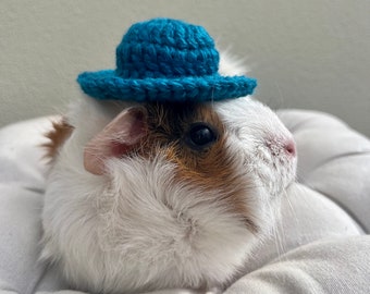 Crochet blue hat with brim for Guinea Pigs and Other Small Pets / Small Handmade Accessories for Pets
