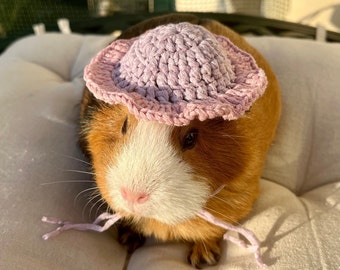 Crochet Panama Hats for Guinea Pigs, Bunnies, Gerbils, Hamsters, Chinchillas, and Other Small Pets / Small Handmade Accessories for Pets