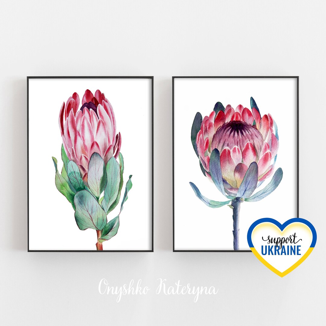 Digital Protea Wall Art Set, Watercolor Protea Printable, Tropical Pink Flower Wall Art, King