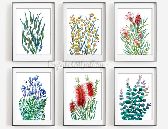 Set of 2 Australian Native Flowers PrintEucalyptus Wall Art