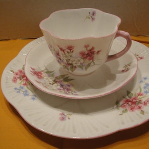 Shelley Stocks Trio Vintage English Bone China Teacup, Saucer Plate, Very Dainty