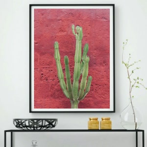 Cactus in Red Wall Mexican Decor Photo Printable, Cacti Photo, Desert ...