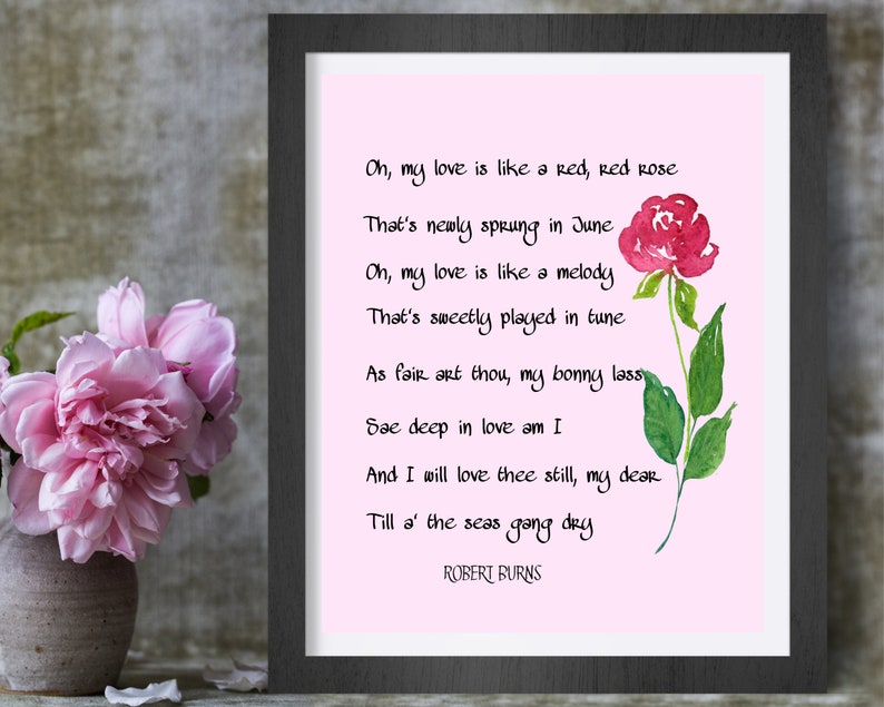 Oh My Love is Like A Red Red Rose Print Robert Burns Love Etsy UK
