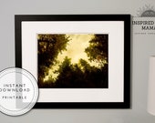 Watercolor Tree Circle Silhouette Painting Digital Print Instant Download Save Money Print Your Art At Home Or Using Local Print Service