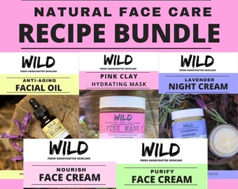 Recipe BUNDLE - Natural FACE Care Recipes