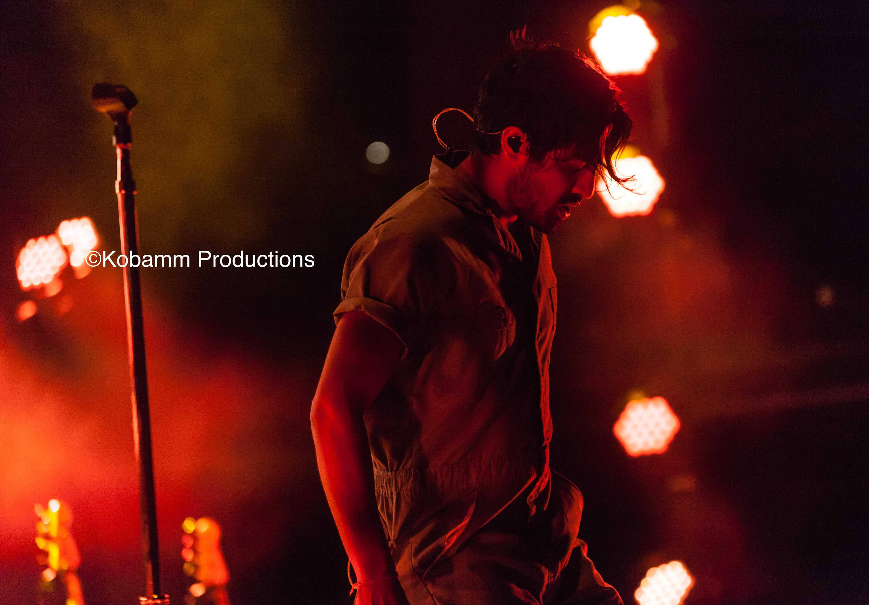 Young the Giant sameer Gadhia - Etsy