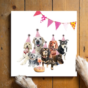 De Big Mix-verjaardagsgroep. Hond verjaardagskaarten, groep honden, gelukkige verjaardag, GRATIS LEVERING naar Groot-Brittannië