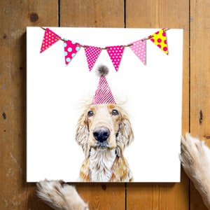 May include: A golden retriever dog wearing a pink and red party hat with a white pom pom on top. The dog is looking at the camera. A pink, white, and yellow bunting with polka dots and hearts hangs above the dog.