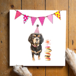 Bailey de Cavalier King Charles-spaniël. Verjaardagskaarten voor honden, gefeliciteerd met je verjaardag, GRATIS BEZORGING naar het VK