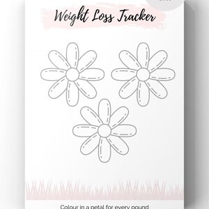 Printable Slimming World Food Diary and Journal, Instant Download ...