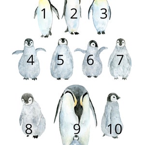 Personalised Family Print, Print Familie, Custom Print, Penguin Family Gift, Family Wall Art, Housewarming, New Home Gift, Family Penguins image 9