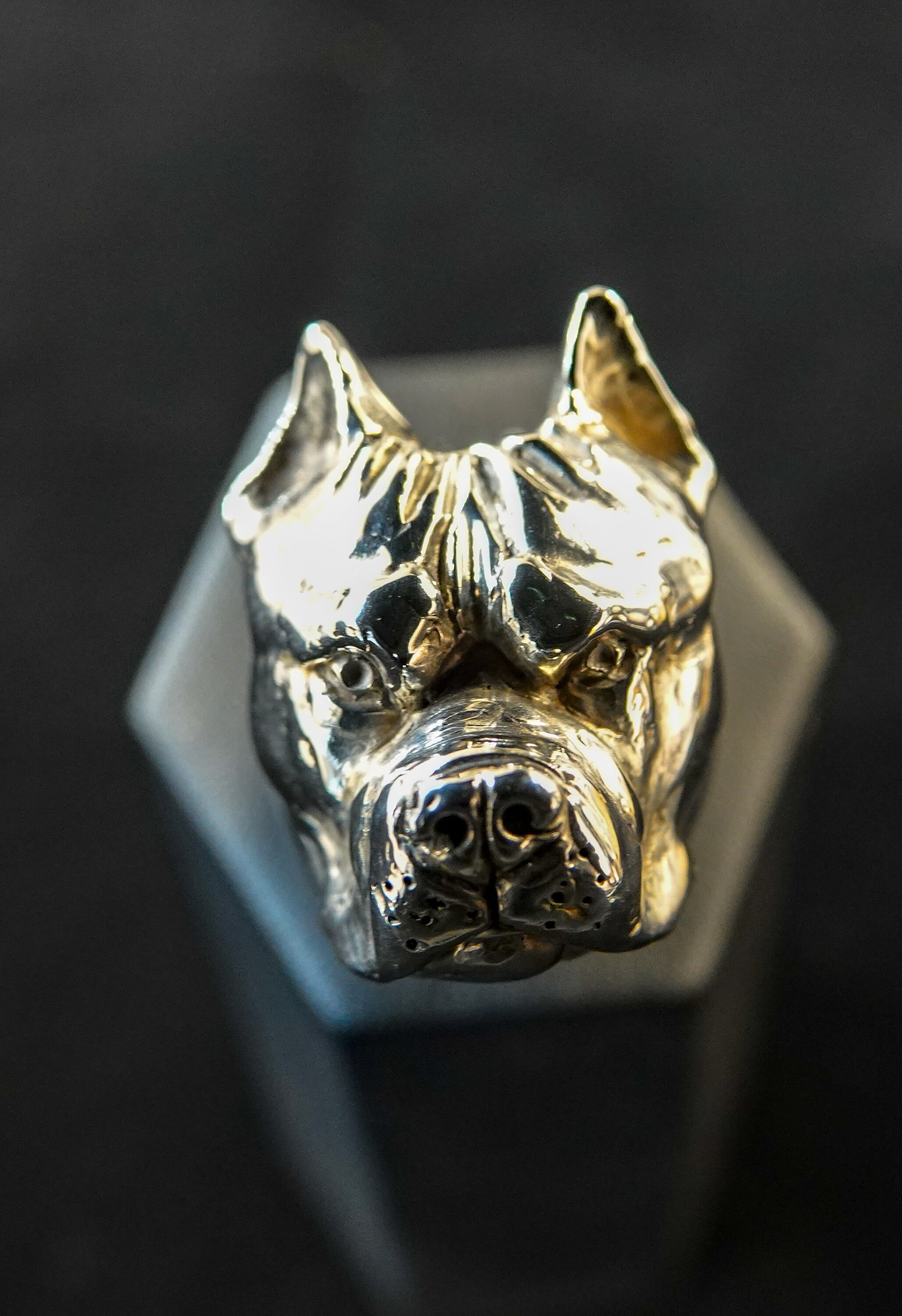 gold pitbull ring