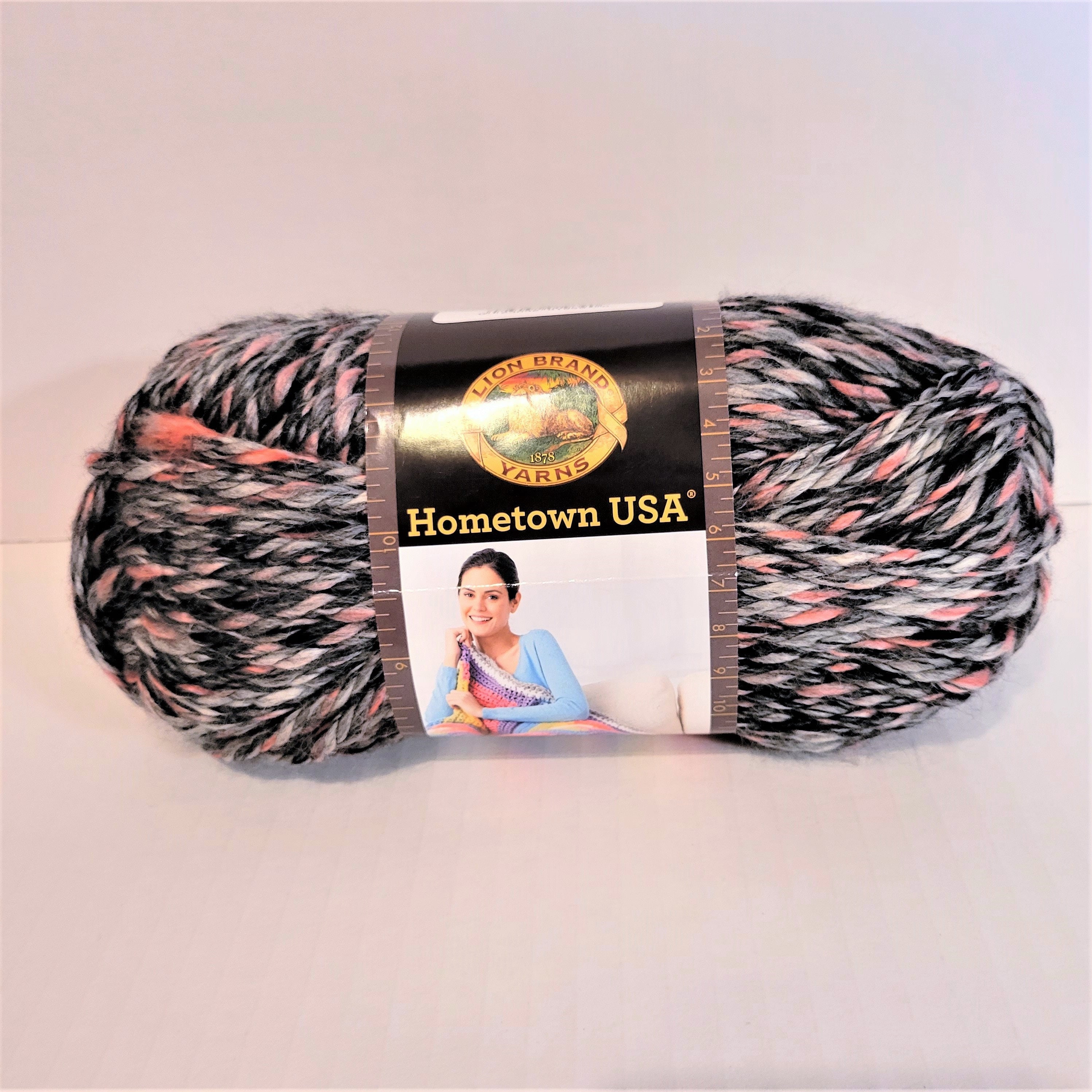 Lion Brand Hometown Yarn(1) Aspen Tweed/(1) Salem Creek( Acrylic