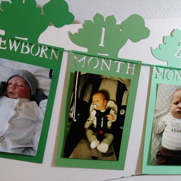 Dinosaur First Birthday Photo Banner / Monthly Photo Banner / Dinosaur Banner / Dinosaur Theme / Dinosaur Party