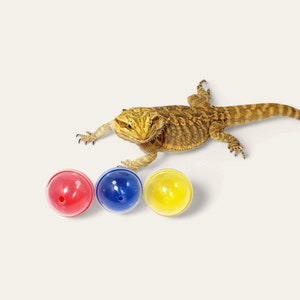 Bearded Dragon Treat Balls, Multicolor (2" - 50mm), set of 3 Lizard Toy Balls each with different size hole. Gift for reptile enthusiast.