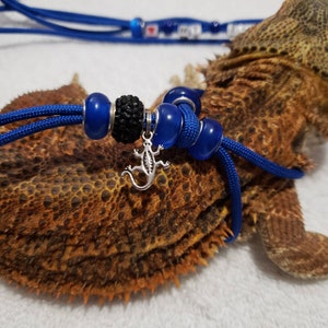 Lizard Leash Harness, adjustable & personalized. Available in 6 lengths in 12 dazzling colors one size fits all. Gift for lizard owner. image 2