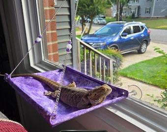 May include: A purple fabric reptile hammock with a marbled pattern, suspended by silver chains and suction cups. A bearded dragon rests on the platform. The hammock features white and purple beads on the chains and the text CELESTIAL COLLECTION.