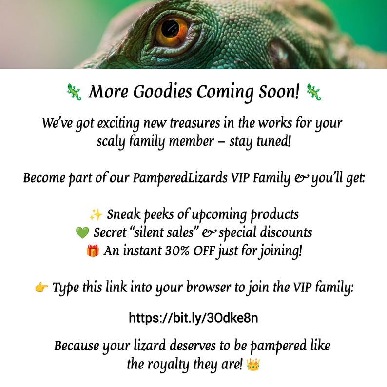 Personalized Adjustable Lizard Leash Harness; One Size Fits All: Multiple Sizes & Colors image 9