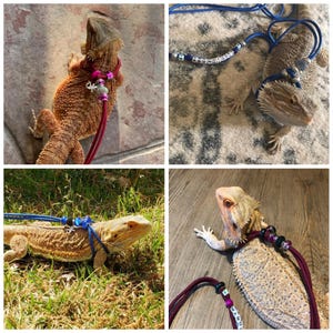 May include: Four images of bearded dragons wearing different colored leashes and harnesses. The leashes are decorated with beads and charms. The harnesses are made of soft, comfortable material. The bearded dragons are all different colors and sizes.