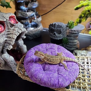 Könnte beinhalten: Ein kleiner, brauner Bartagame sitzt auf einem runden, violetten Kissen mit Libellenmuster. Das Kissen liegt auf einem geflochtenen, braunen Korb. Der Bartagame schaut nach rechts.