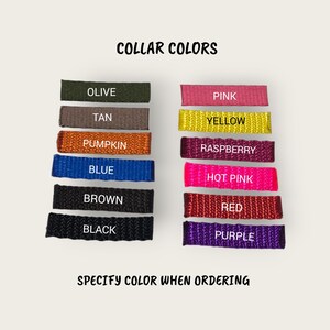 Personalized Adjustable Lizard Bell Collar: Multiple Sizes & Colors image 8
