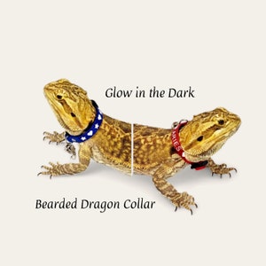 Bearded Dragon Collar - Glow in the Dark Personalized Lizard Bell Collar. Small pet collar, available in 12 colors. Gift for reptile owner.