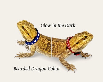 Personalized Glow-in-the-Dark Adjustable Lizard Bell Collar: Multiple Sizes & Colors