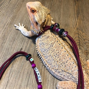 Lizard Leash Harness, adjustable & personalized. Available in 6 lengths in 12 dazzling colors one size fits all. Gift for lizard owner. image 6