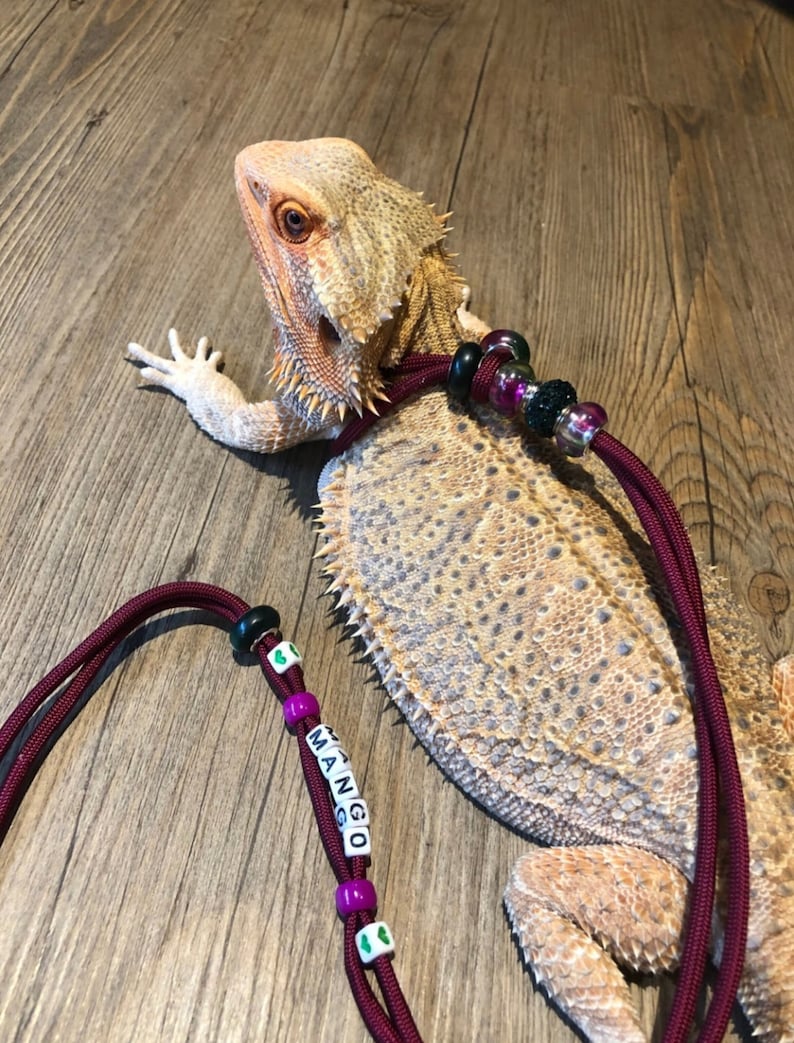 Lizard Leash Harness, adjustable & personalized. Available in 6 lengths in 12 dazzling colors one size fits all. Gift for lizard owner. image 6