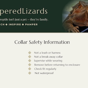 K&ouml;nnte beinhalten: Eine Informationsgrafik mit dem Titel Collar Safety Information, dem Text PamperedLizards, Because your reptile isn't just a pet - they're family, ENRICH, INSPIRE, PAMPER und einer Liste von Sicherheitsrichtlinien f&uuml;r ein Reptilienhalsband.