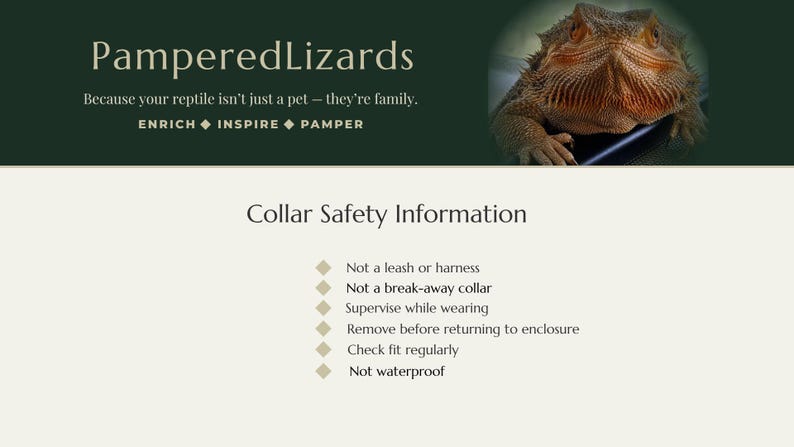 K&ouml;nnte beinhalten: Eine Informationsgrafik mit dem Titel Collar Safety Information, dem Text PamperedLizards, Because your reptile isn't just a pet - they're family, ENRICH, INSPIRE, PAMPER und einer Liste von Sicherheitsrichtlinien f&uuml;r ein Reptilienhalsband.