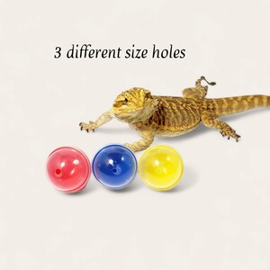Bearded Dragon Treat Balls, Multicolor 2 50mm, set of 3 Lizard Toy Balls each with different size hole. Gift for reptile enthusiast. image 4
