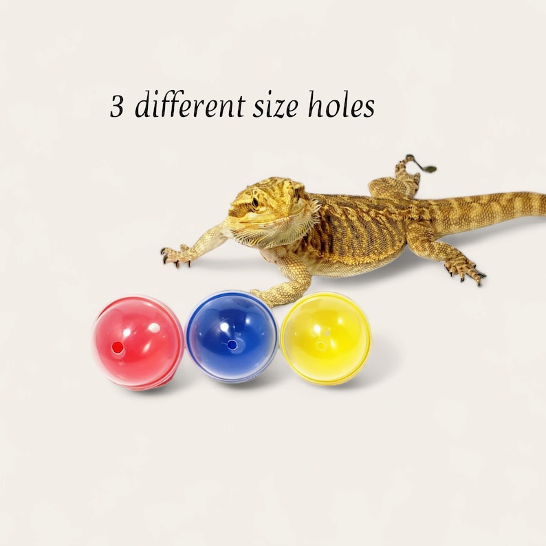 Bearded Dragon Treat Balls, Multicolor 2 50mm, set of 3 Lizard Toy Balls each with different size hole. Gift for reptile enthusiast. image 4