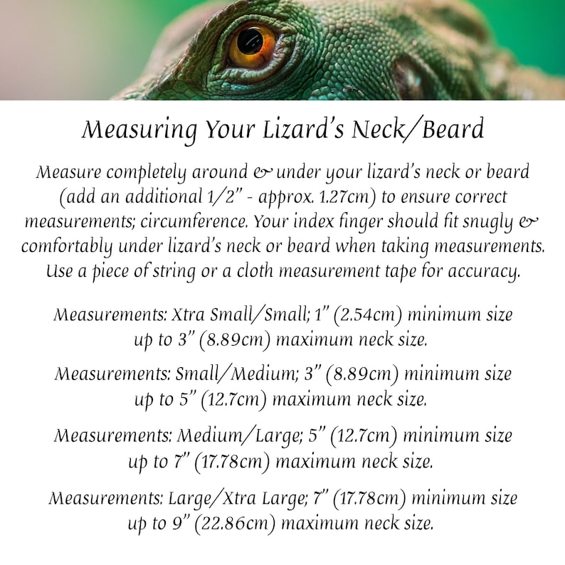 May include: A guide on how to measure your lizard's neck or beard for a proper fit. The guide includes measurements in inches and centimeters for extra small/small, small/medium, medium/large, and large/extra large sizes.
