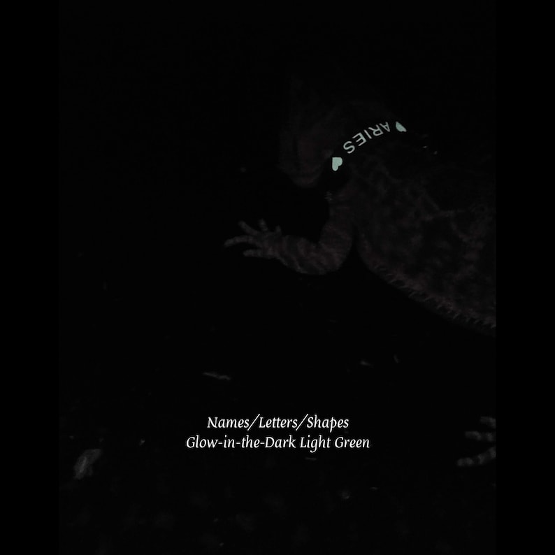 K&ouml;nnte beinhalten: Ein im Dunkeln leuchtendes, hellgr&uuml;nes Halsband an einer Eidechse mit dem Schriftzug ARIES und Herzformen. Der Text Names/Letters/Shapes Glow-in-the-Dark Light Green ist unten im dunklen Bild zu sehen und hebt die Produktmerkmale hervor.