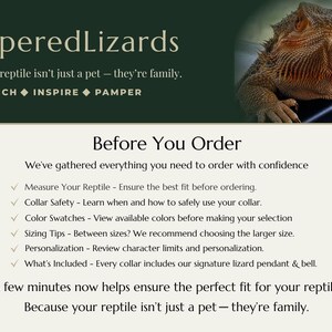 K&ouml;nnte beinhalten: Eine digitale Grafik f&uuml;r PamperedLizards mit einer Bartagame in der oberen rechten Ecke. Der Text enth&auml;lt 'PamperedLizards', 'Because your reptile isn't just a pet &ndash; they're family', 'ENRICH INSPIRE PAMPER' und 'Before You Order' mit einer Checkliste.