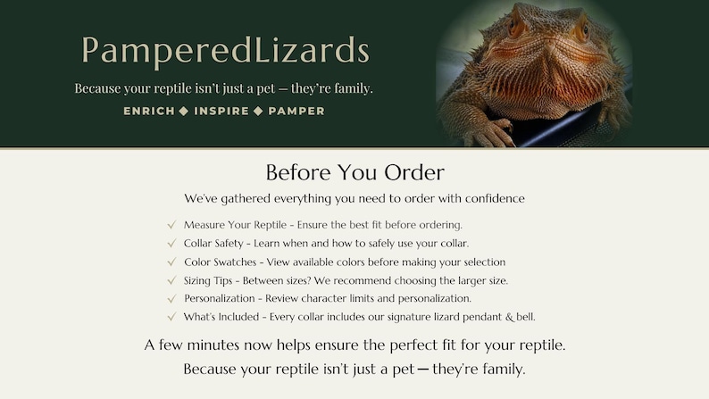 K&ouml;nnte beinhalten: Eine digitale Grafik f&uuml;r PamperedLizards mit einer Bartagame in der oberen rechten Ecke. Der Text enth&auml;lt 'PamperedLizards', 'Because your reptile isn't just a pet &ndash; they're family', 'ENRICH INSPIRE PAMPER' und 'Before You Order' mit einer Checkliste.