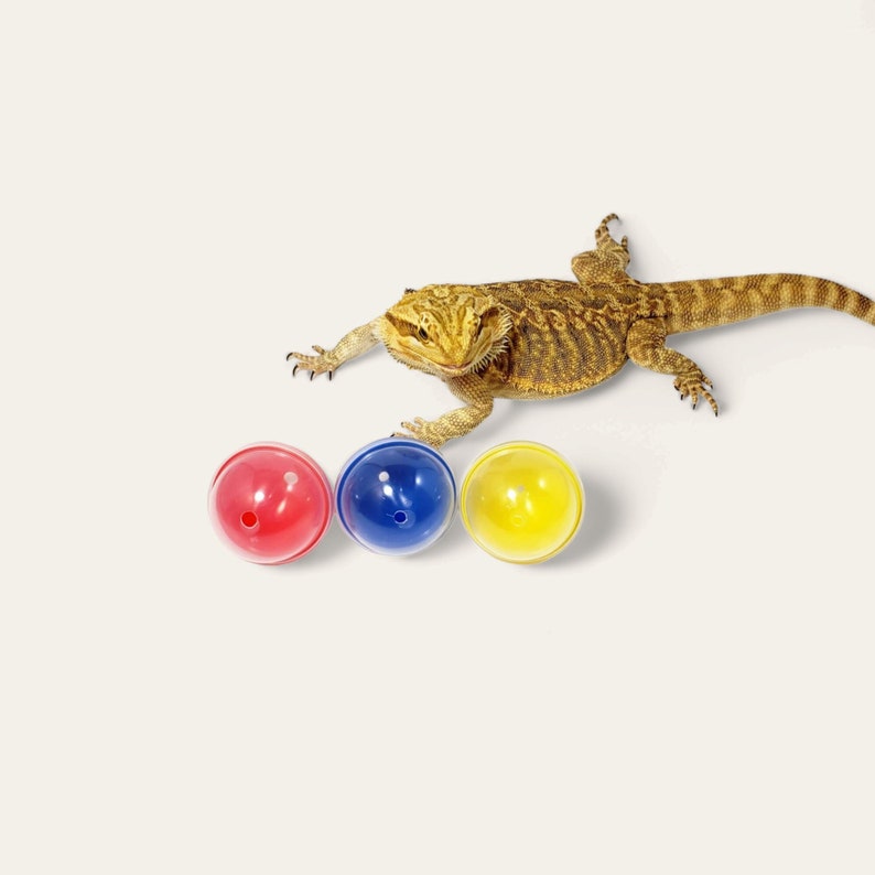 Bearded Dragon Treat Balls, Multicolor 2 50mm, set of 3 Lizard Toy Balls each with different size hole. Gift for reptile enthusiast. image 1