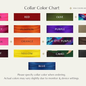 Personalisierte Glow-in-the-Dark verstellbare Eidechse Bell Kragen: Mehrere Größen und Farben Bild 10