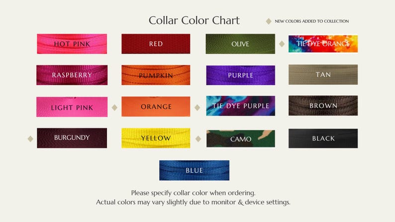 Personalisierte Glow-in-the-Dark verstellbare Eidechse Bell Kragen: Mehrere Größen und Farben Bild 10