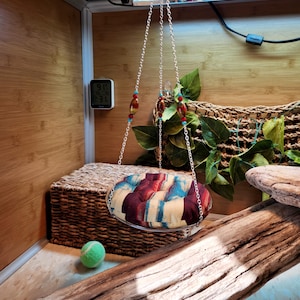 Skäggagameödla Kuddegunga; Papasan-stil, flera storlekar - Tygfärger