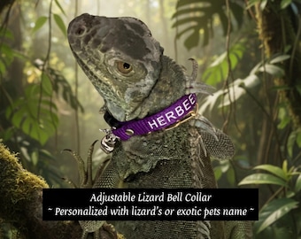 Personalized Adjustable Lizard Bell Collar: Multiple Sizes & Colors