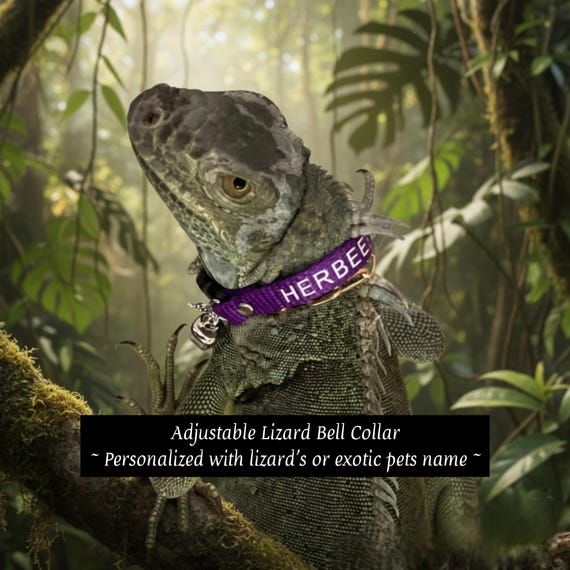 Personalized Adjustable Lizard Bell Collar: Multiple Sizes & Colors