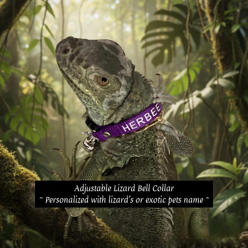 Personalized Adjustable Lizard Bell Collar: Multiple Sizes & Colors image 1