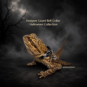 May include: A bearded dragon wearing a black collar with a white bone pattern and a small silver bell. The text "Designer Lizard Bell Collar Halloween Collection" is visible above the lizard, which has textured tan and brown scales.