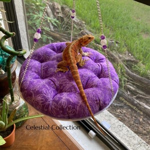 Könnte beinhalten: Ein rundes, violettes Steppkissen mit weißem Libellenmuster, aufgehängt an silbernen Ketten mit violetten und klaren Perlen. Eine orangefarbene Bartagame ruht auf dem Kissen. Text: Celestial Collection und @PamperedLizards.